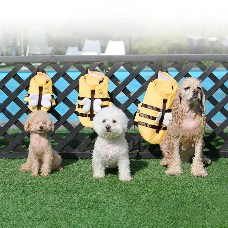 Summer Little Bee Dog Swimsuit - Life Jacket review and price